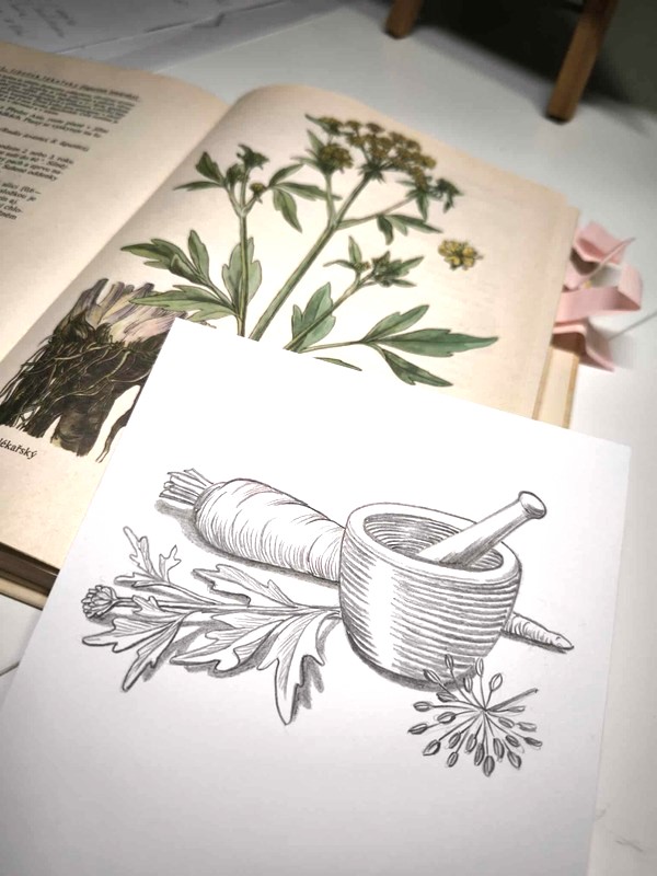 Kniha Ozvěny dávných hlasů od Veroniky Hanzlíkové - ukázka tvorby ilustrace od Dany Činčarové