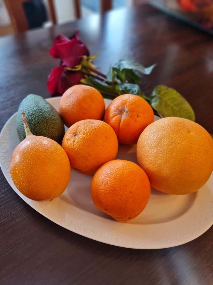 Pomeranče, avokádo, grap a mučenka z Výdejny chutí.